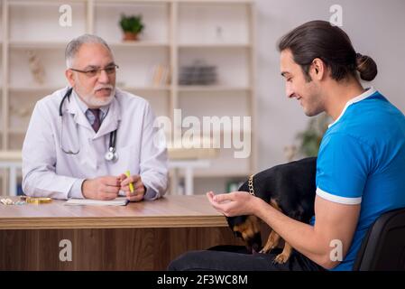 Alter Tierarzt untersucht Hund in der Klinik Stockfoto