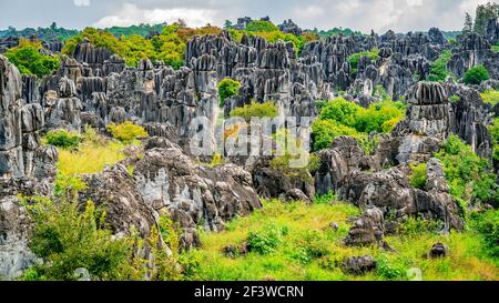 Panoramablick auf Shilin großen Stein Wald mit hellen Herbst Farben in Kunming Yunnan China Stockfoto