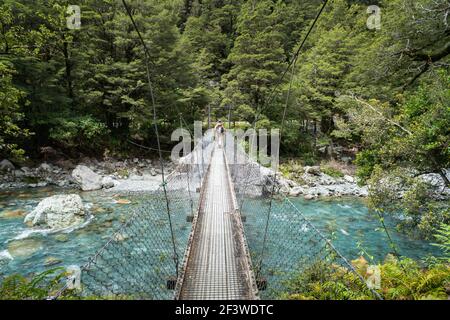 Lake Marian Swingbridge über Hollyford River – Whakatipu Ka Tuka, Fiordland National Park Stockfoto