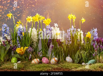 Stillleben Ostern Hintergrund. Bunte Ostereier mit Frühlingsblumen. Stockfoto