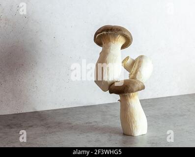 Eringi oder König Austernpilz. Gleichgewicht schwimmende Lebensmittel Gleichgewicht. Stockfoto