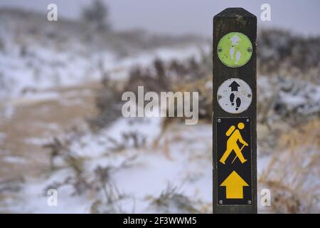 Schöne Sicht auf Wanderweg Marker (Blaze) auf Holzmast Gegen schöne gefrorene Gorse Blumen entlang Weg zum Fairy Castle (Two Rock Mountain) Stockfoto