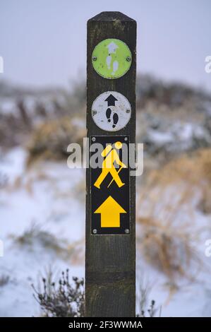 Vertikale Ansicht des Wanderweges Marker (Blaze) auf Holzmast Gegen schöne gefrorene Gorse Blumen entlang Weg zum Fairy Castle (Two Rock Mountain) Stockfoto