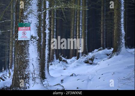 Schöne Aussicht auf Wald Gefahr Schild Mountainbike-Weg streng Keine Wanderer auf Tannenbaum Stamm in erstaunlichen Winter verschneit Ticknock Forest National Park Stockfoto