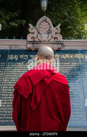 Mönch liest Manuskript im Tempel Stockfoto