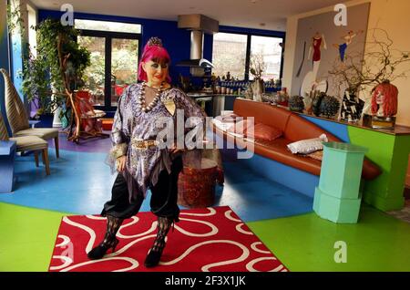 Zandra Rhodes in ihrem Zuhause im Süden Londons.pic David Sandison 23/1/2006 Stockfoto