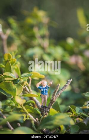 Lustiges Konzept der wilden Abenteuer, Miniatur-Wanderer-Modell auf einem Baum, tagsüber, Makro-Aufnahme Stockfoto