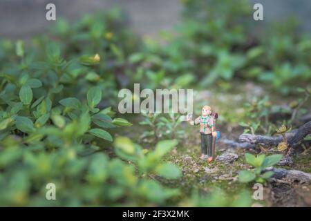 Lustiges Konzept des Wanderens. Miniatur-Hiker-Modell in der breiten, Outdoor, Makroaufnahme Stockfoto