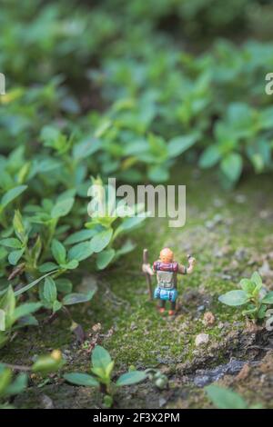 Konzept des Waldabenteuers. Miniatur-Backpacker-Modell in Gras, Outdoor, Makroaufnahme Stockfoto