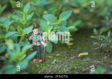 Konzept des Waldabenteuers. Miniatur-Backpacker-Modell in Gras, Outdoor, Makroaufnahme Stockfoto