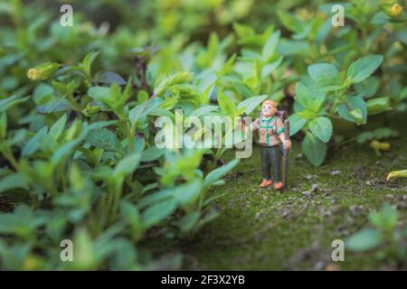 Konzept des Waldabenteuers. Miniatur-Backpacker-Modell in Gras, Outdoor, Makroaufnahme Stockfoto