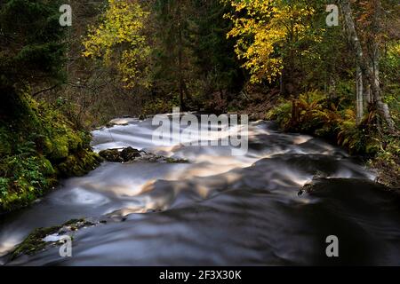 Erstaunliche Berg Wasserfall Landschaft. Herbstwald und Wasserfall Hintergrund. Tolles Design für jeden Zweck. Stockfoto