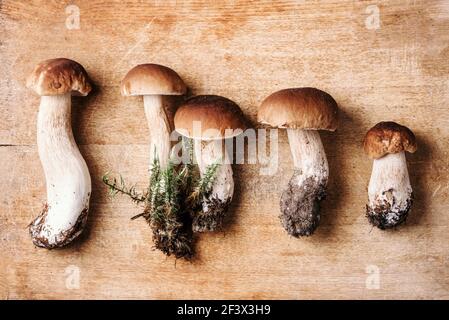 Frische Waldpilze auf Holzhintergrund. Draufsicht. Speicherplatz kopieren. Herbsterntekonzept. Frisch gepflückte Steinpilze im Korb Stockfoto