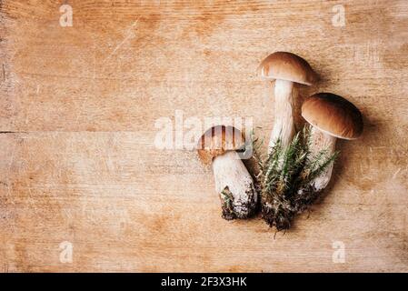 Frische Waldpilze auf Holzhintergrund. Draufsicht. Speicherplatz kopieren. Herbsterntekonzept. Frisch gepflückte Steinpilze im Korb Stockfoto