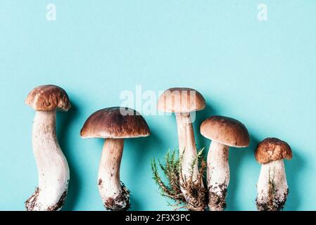 Herbsterntekonzept. Frisch gepflückte Steinpilze im Korb. Frische Waldpilze auf blauem Hintergrund. Draufsicht. Speicherplatz kopieren. Stockfoto
