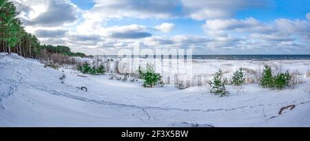 Panoramablick auf die Ostseeküste mit Schnee bedeckt an sonnigen Tagen mit blauem Himmel. Bedeckt mit Schnee Meer Strand mit Kiefernwald im Winter. Stockfoto