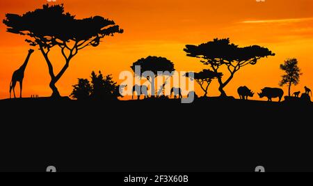 Tiere in der Savanne Stockfoto