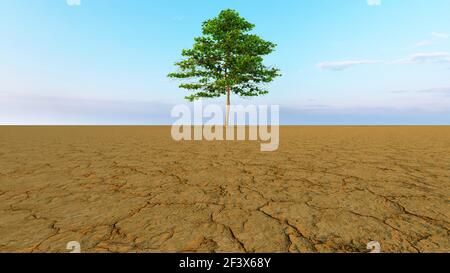Konzept oder konzeptionelle Wüstenlandschaft mit einem grünen Baum als Eine Metapher für globale Erwärmung und Klimawandel Stockfoto
