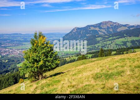 Schöner Herbst-Nachmittag im südlichen Allgäu nahe Sonthofen und Bad Hindelang Stockfoto