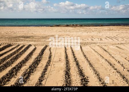 Mallorca, Spanien. März 2021, 17th. Vorbereitung des Strandes für die kommenden Touristen an der Playa de Palma auf Mallorca. Quelle: John-Patrick Morarescu/ZUMA Wire/Alamy Live News Stockfoto