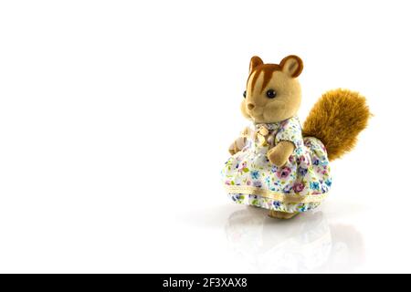 Eichhörnchen Spielzeug tragen Kleid auf weißem Hintergrund Stockfoto