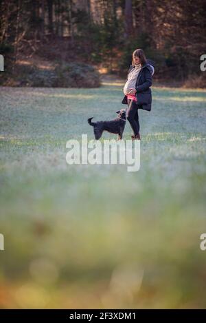 Junge schwangere Frau mit großem Bauch, die mit ihrem Hund auf einer schönen Herbstwiese steht. Stockfoto