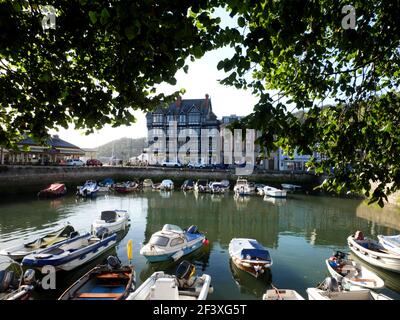 Dartmouth Harbour, Devon, von den Royal Avenue Gardens aus gesehen. Stockfoto