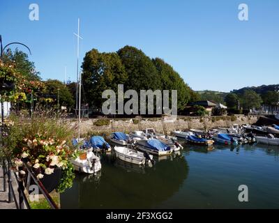 Dartmouth Harbour, Devon, von den Royal Avenue Gardens aus gesehen. Stockfoto