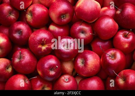 Vollbildaufnahme von roten Äpfeln. Frische rote Äpfel vom Markt. Stockfoto