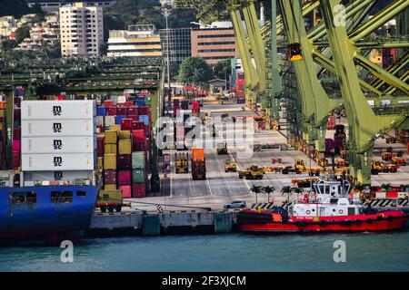 SINGAPUR, SINGAPUR - 16. Apr 2019: Bild zeigt eine Straße im Containerhafen Singapur, auf der Fracht transportiert wird. Stockfoto