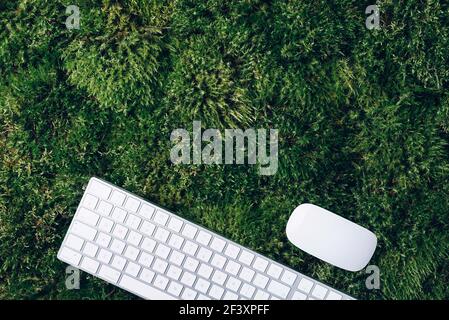 Laptop-Computer-Tastatur und Maus auf grünem Moos. Draufsicht, Kopierbereich. Achtsamkeit, biophiles Design, Konzept ausstecken. Digitale Entgiftung. Sommerbüro Stockfoto