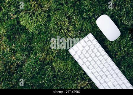 Laptop-Computer-Tastatur und Maus auf grünem Moos. Draufsicht, Kopierbereich. Achtsamkeit, biophiles Design, Konzept ausstecken. Digitale Entgiftung. Sommerbüro Stockfoto