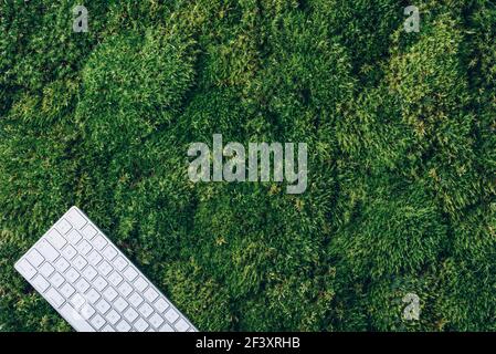 Laptop-Computer-Tastatur und Maus auf grünem Moos. Draufsicht, Kopierbereich. Achtsamkeit, biophiles Design, Konzept ausstecken. Digitale Entgiftung. Sommerbüro Stockfoto