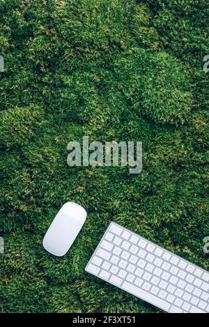 Laptop-Computer-Tastatur und Maus auf grünem Moos. Draufsicht, Kopierbereich. Achtsamkeit, biophiles Design, Konzept ausstecken. Digitale Entgiftung. Sommerbüro Stockfoto