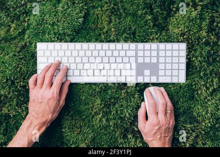 Hände auf Laptop-Tastatur über grünem Gras, Moos Wald Hintergrund. Draufsicht. Achtsamkeit, biophiles Design, Konzept ausstecken. Digitale Entgiftung. Sommer Stockfoto
