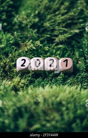 Holzwürfel 2021 auf grünem Gras, Mooshintergrund. Neujahr. Draufsicht. Speicherplatz kopieren. Ökologie, Zero Waste Konzept. Biophiles Design. Psychische Belastung Stockfoto
