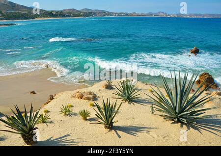 Malerische Landschaft mit Blick auf Playa La Tortuga mit Blick auf das Meer von Cortés in San José del Cabo, Mexiko. Stockfoto