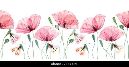 Aquarell nahtloser Rand. Mohnpflanzen und Schmetterlinge. Sommerfeld blüht mit grünen Blättern. Florale horizontale Linie in Wiederholung. Realistisch Stockfoto