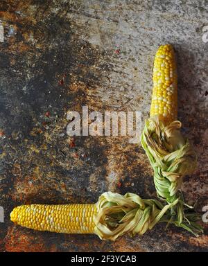 Mais Сobs auf Вark Hintergrund. Draufsicht. Platz für Text kopieren. Stockfoto