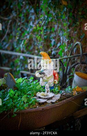 GNOME Garten Ornament in Schubkarre Stockfoto
