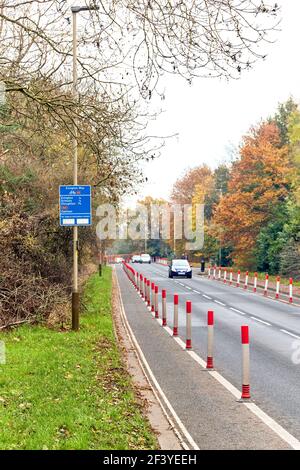 Zeigt Autos auf einer von Bäumen gesäumten Straße mit den neuen Pop-up-Fahrradrouten rund um Leicester City. Stockfoto