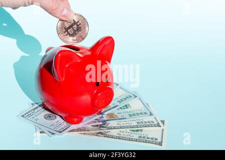 Kryptowährung Sparkonzept. Eine Hand legt eine Bitcoin-Münze in ein rotes Sparschwein, das auf hundert Dollar-Scheinen auf blauem Hintergrund steht, Kopierraum. Stockfoto