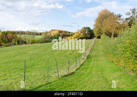 Holzzaunstangen und agrarkuturale Straße oder Weg um eine Weide in der ländlichen Landschaft in Rheinland-Pfalz, Deutschland, Westeuropa Stockfoto