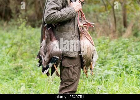 Eine Frau, die an einer Ente arbeitet, die schießt und aufholt Stockfoto