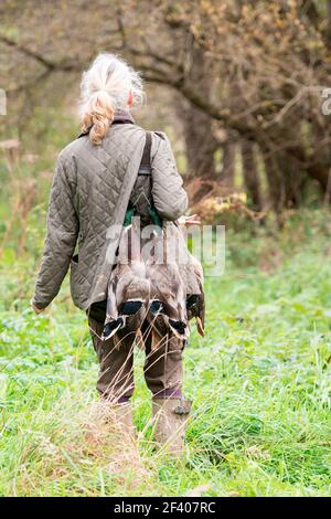 Eine Frau, die an einer Ente arbeitet, die schießt und aufholt Stockfoto