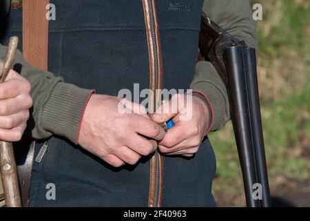 Ein Mann in Schießkleidung mit einer Seite-an-Seite 12 Bohrung Schrotflinte und Patronen Stockfoto