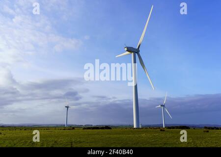 Auf der Knabs Ridge Wind Farm, Harrogate, North Yorkshire, Großbritannien, heben sich weiße, majestätische Windturbinen vom blauen Himmel ab. Stockfoto