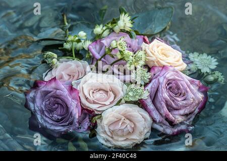Blumen Blumenstrauß schwimmend im Flusswasser. Teil ist versenkt. Zufällig in Soca River gefunden. Stockfoto
