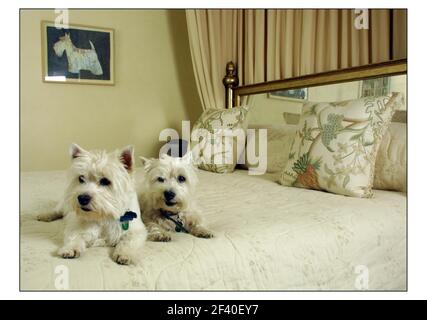 Oscar und Harriet Cullen im Westen Londons.pic David Sandison 17/4/2003 Stockfoto