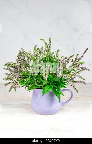 Chia Samen gesundes Superfood mit Blume isoliert auf weißem Hintergrund Stockfoto